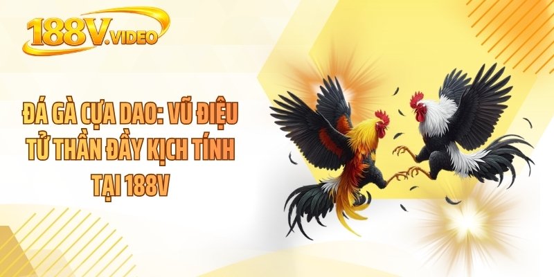 Luật Chơi Roulette - Bí Mật Đằng Sau Vòng Quay Triệu Đô