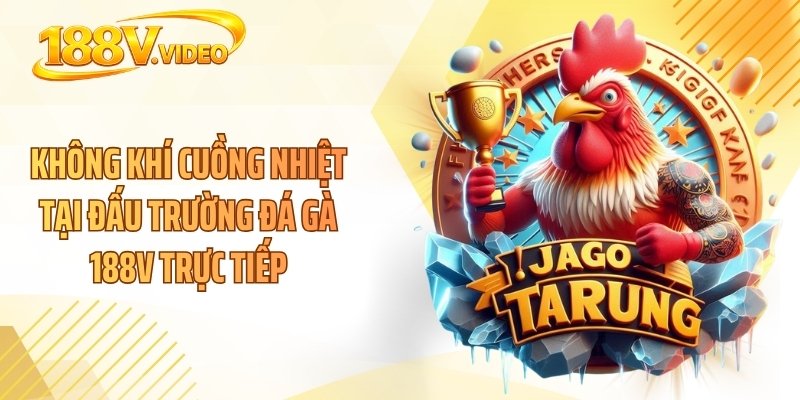 Không khí cuồng nhiệt tại đấu trường đá gà 188V trực tiếp