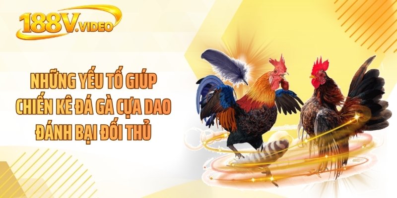 Những yếu tố giúp chiến kê đá gà cựa dao đánh bại đối thủ